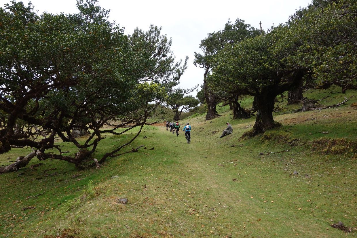 Biken bei Fanal